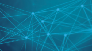 From strategy to operations: The evolution of the IT function